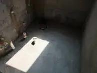 房屋渗漏严重怎么办?防水堵漏“民间高手”教你找准“病灶”,精准“施策”