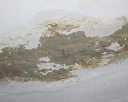 建筑防水材料有哪些“隐形杀手”：危害剖析与防治指南